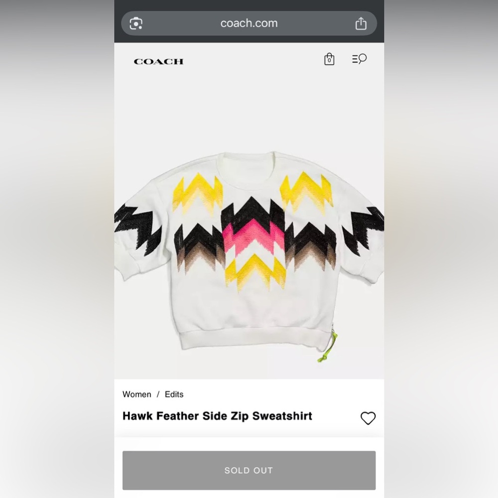 Coach x Coachella Hawk Feather Side Zip Sweatshirt w/ Chevron Pattern Multicolor - Picture 4 of 10